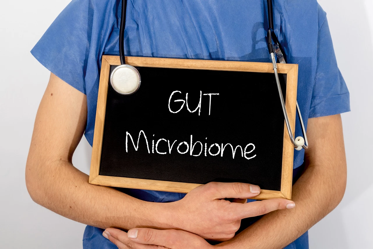 Doctor shows information on blackboard: GUT Microbiome.  Medical concept.